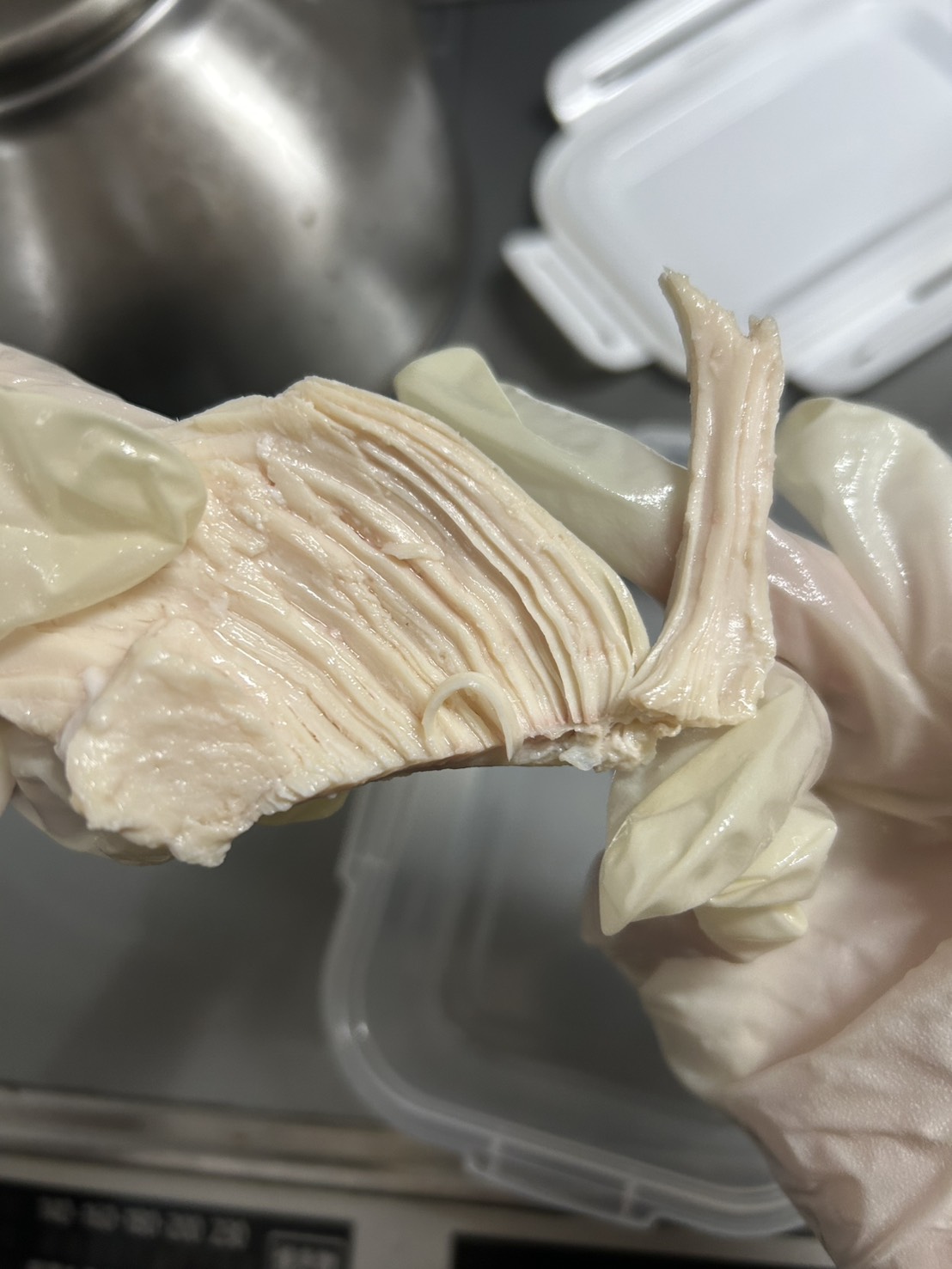 レンジで簡単。鶏むね肉300gのしっとりサラダチキン｜作り置きにも